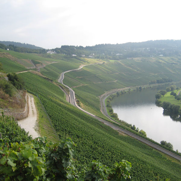 photo of Lafarge Vineyard