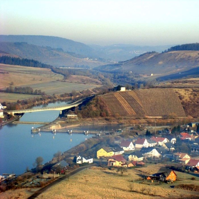 photo of Lauer Vineyardt