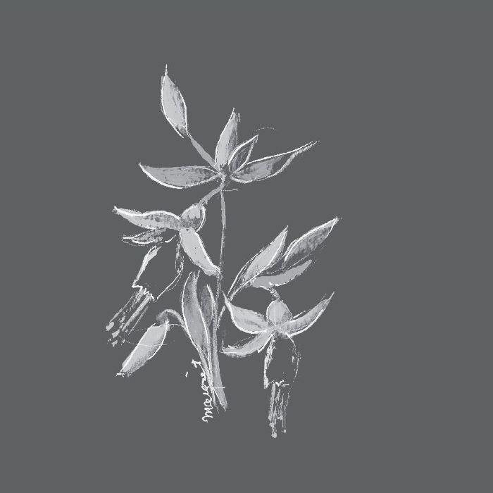 photo of label, grey background with a white flower drawing