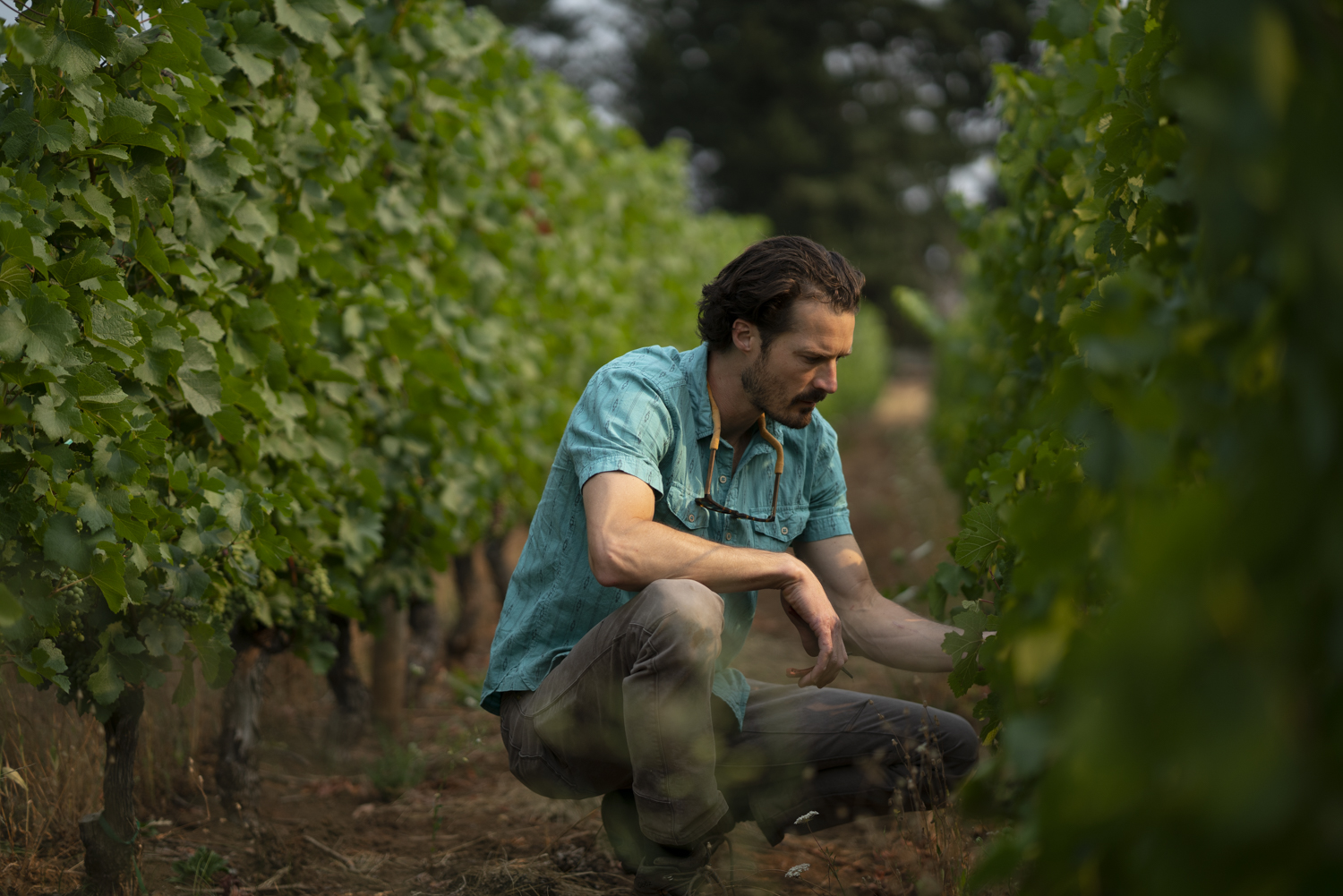 photo of martin Woods