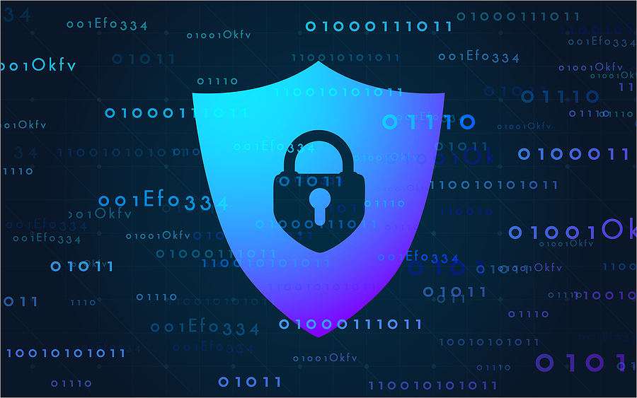 Cyber Insurance for Your Small Business