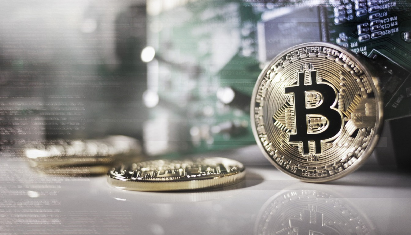 What is a Cryptocurrency Wallet and How Do You Choose the Right One?