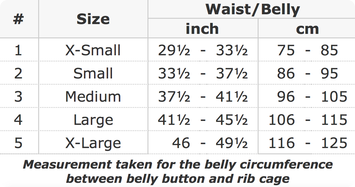 Premium Back Brace With Suspenders UFEELGOOD