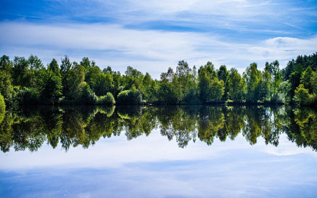 Navigating the AI Maze: How Adobe’s “Agents” Are Changing the Marketing Game