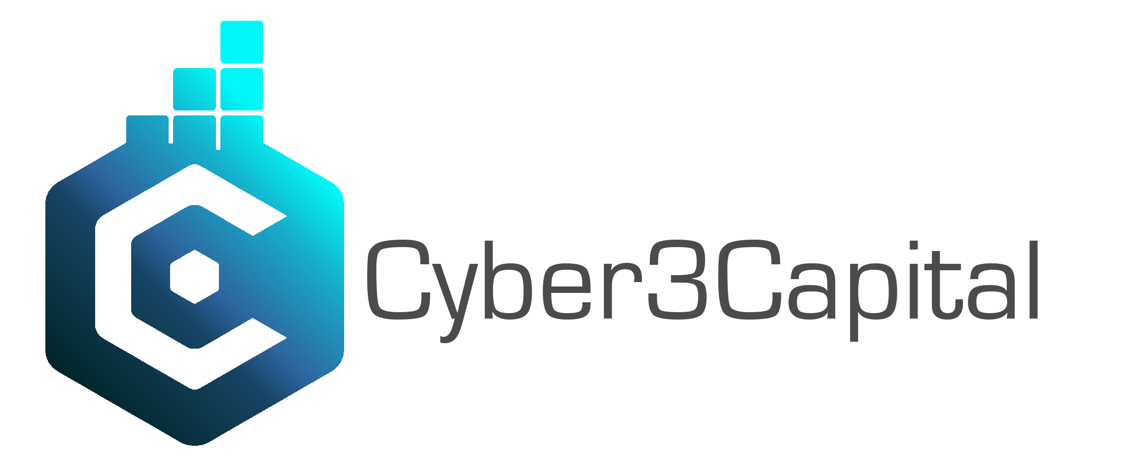 Cyber3 Capital