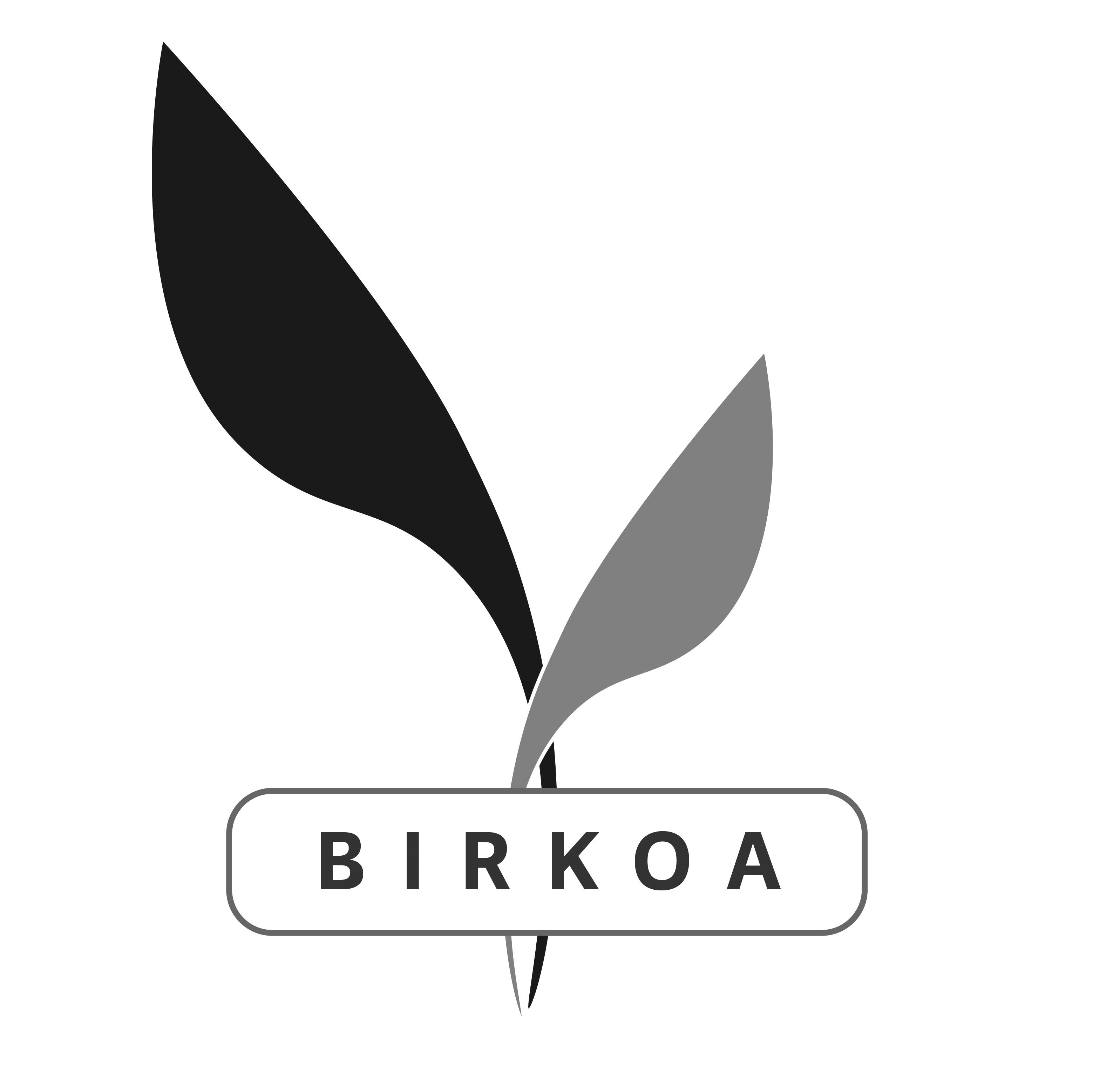 Birkoa Capital Login Page Birkoa capital login page