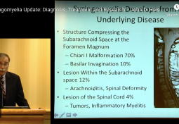 Syringomyelia Update: Diagnosis, Treatment and Research