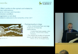 Mathematical Modeling of Spinal CSF Dynamics: Human and Animal Syringomyelia