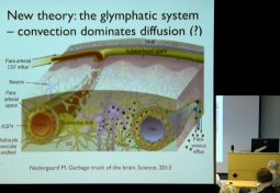 Simulating the Fluid Flow of the Glymphatic System: Extracellular Fluid Flow