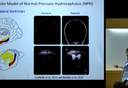 Cognitive & Motor Impairments in a Diseased Animal Model