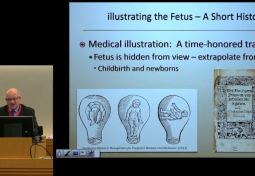 Art & Technology in Fetal Imaging