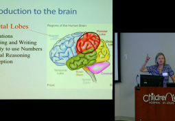 Neuropsychology of Chiari Type 1