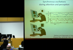 BRAIN OSCILLATIONS AND THE ASSESSMENT OF COGNITIVE FUNCTION