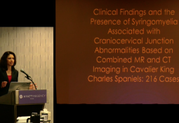 RESEARCH UPDATE: CHIARI-LIKE MALFORMATION IN SMALL BREED DOGS