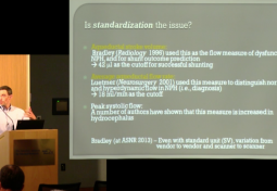 What Can Animal Models Teach Us About CSF Flow Dynamics?