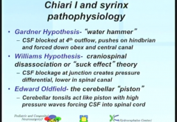 Chiari & Hydrocephalus: Going With the Flow