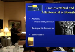 Biomechanics of the Normal Cranio-cervical and Atlanto-axial Junction