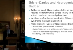 Urological Conditions in EDS