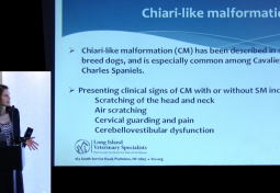 Dural Histopathologic Changes in 139 Cavalier King Charles Spaniels with Chiari-like Malformation