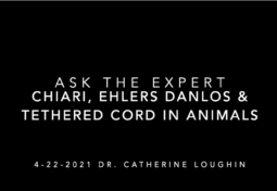 Ask the Expert: Chiari, Ehlers Danlos syndrome and Tethered Cord in Animals
