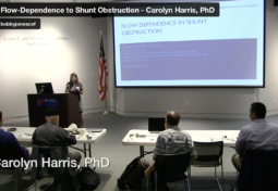 Flow-Dependence to Shunt Obstruction