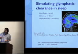 Simulating Glymphatic Clearance in Sleep