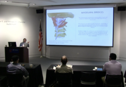 Spinal Cord Motion Disorder: Introduction of a Novel Concept