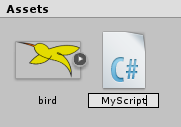 Create C# Script Asset