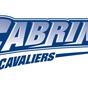 Cabrini vs. Widener vs. Cedar Crest logo