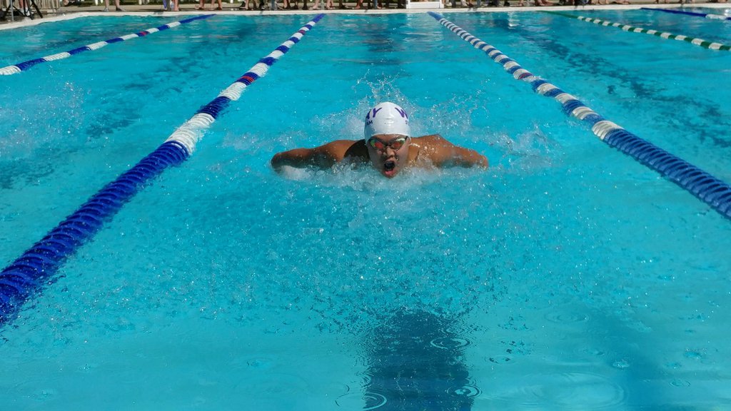 noel-park-collegeswimming