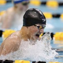 Paul R Racanelli profile image