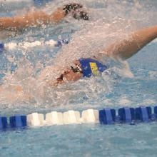 Peyton Wray profile image