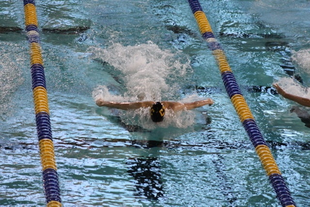 Drew Jalbert image 1