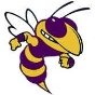 Denham Springs High School logo