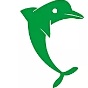 DAUPHINS TOULOUSE OEC