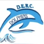 DERC Summer League Team logo