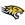 Towson logo