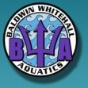 Baldwin Whitehall Aquatics logo