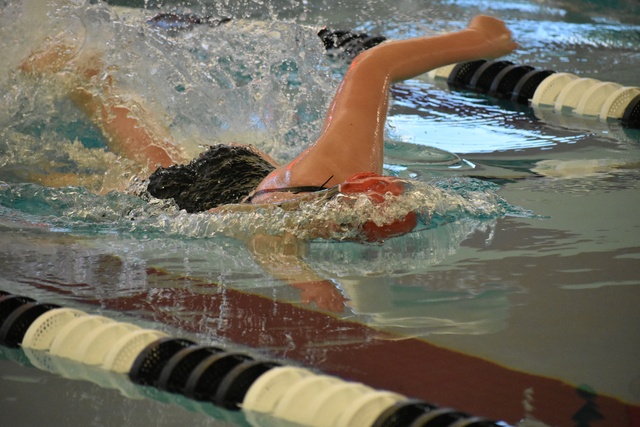 Kelaney Kumlien image 5