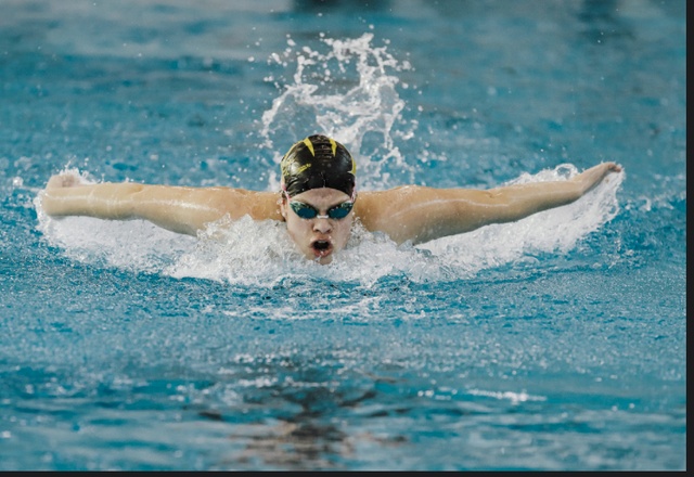 Andrea Paradis image 3