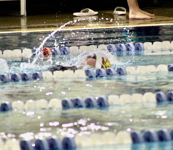 Vica Beelner image 7