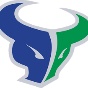 Mountain View High School (ID) logo