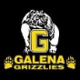 Galena High School logo
