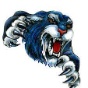 Douglas High School (WY) logo