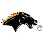 Jackson Hole High School logo