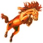 Natrona County High School logo