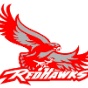 Vallejo High School logo