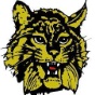 Radford High School (VA) logo