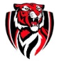 Moon High School logo