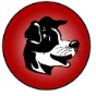 Brockway Area JR/SR High School logo